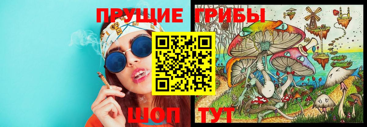 Среднеуральск  Галлюциногенные грибы Magic Shrooms  Вход с VPN  Псилоцибиновые грибы Cubensis 